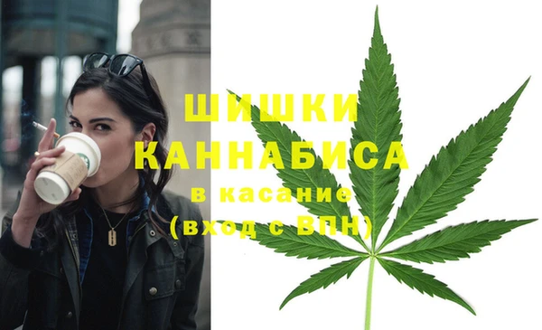 мдпв Пересвет
