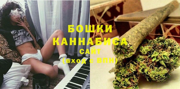 сатива Осинники