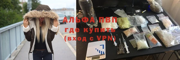 spice Заводоуковск