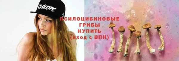 спиды Осташков