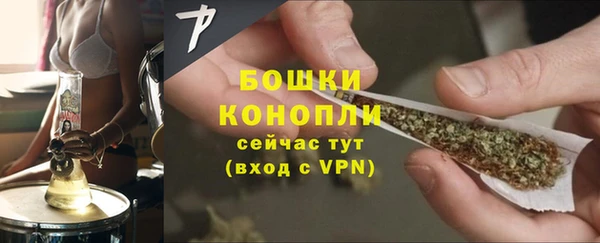 мдпв Дедовск