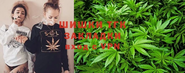 сатива Осинники