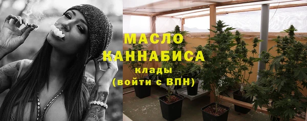 сатива Осинники
