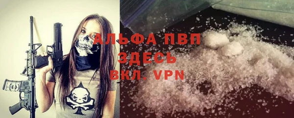 амф Пестово