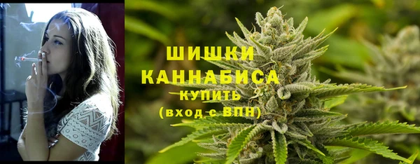 амф Пестово