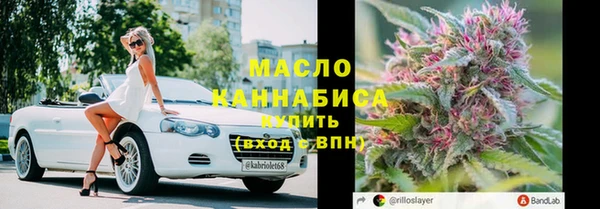 амф Пестово