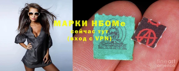 мдпв Пересвет