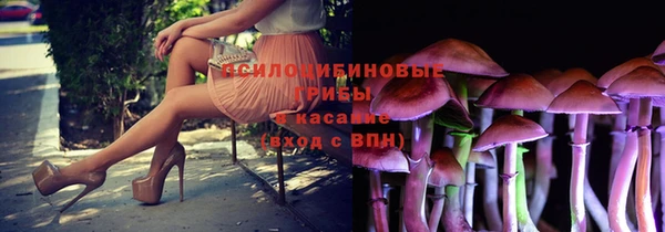 мдпв Пересвет