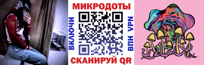 Псилоцибиновые грибы мухоморы  даркнет сайт  Рыльск 